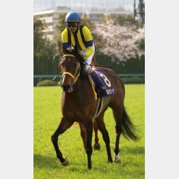 これがGⅠ初勝利(マルセリーナの桜花賞)