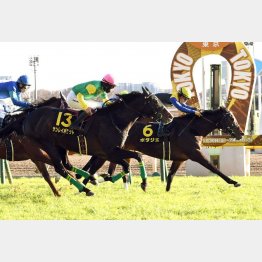 白富士Sで首差②着