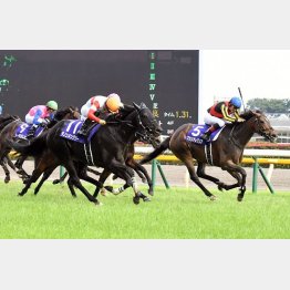 トーラスジェミニが0秒4差⑤着に善戦