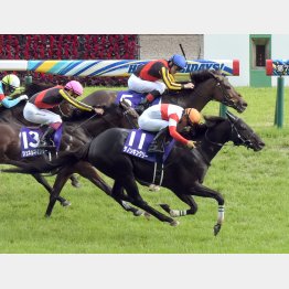 安田記念で馬券圏内を独占の快挙