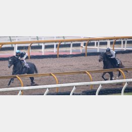 クロノジェネシスは併せに2馬身先着