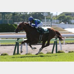 3馬身差の快勝だった