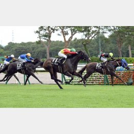 初日の2勝クラス、豊栄特別は関西馬が④着まで独占