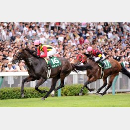 12年は16、17番が①②着