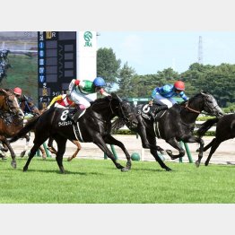 土曜の豊栄特別は関西馬2頭が①着同着