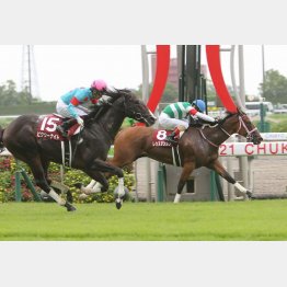 最後は首差だった