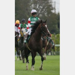 ①着カテドラル(戸崎騎手)「今後が楽しみです」