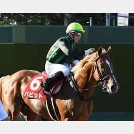 昨年はバビットがラジオNIKKEI賞、このレースを連勝