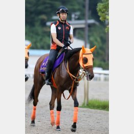 中間も順調そのもの