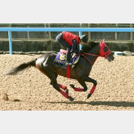 今週は馬なりで1F12秒2