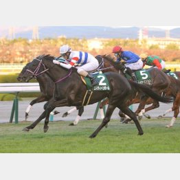 京阪杯 エイティーンガール重賞２勝目 日刊ゲンダイ競馬