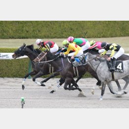 最年長の８歳馬が勝利