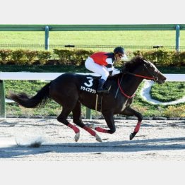 オキザリス賞は５馬身差の圧勝