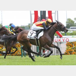 中京６Ｆ芝で１勝クラスを卒業