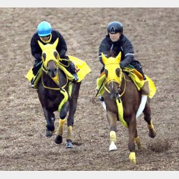 1週間前には兄（右）に胸を借りた