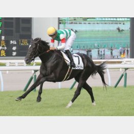 ２走前は７馬身差の圧勝