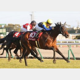 ４歳馬同士の競り合いを制した