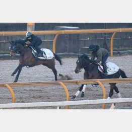 最後は内、外で馬体が離れて半馬身遅れた（左がダノン）