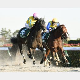 同舞台の武蔵野Ｓ勝ち