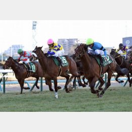 京成杯では差のない競馬（中央）