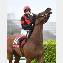 昨年の勝ち馬はヴィクティファルス