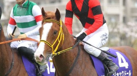 播磨政勝 日刊ゲンダイ競馬