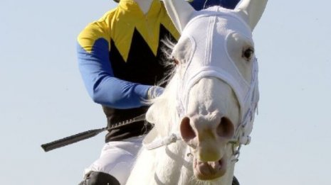 播磨政勝 日刊ゲンダイ競馬
