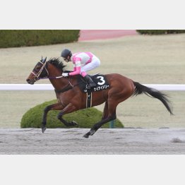 鳴門Ｓは２馬身半差の勝利