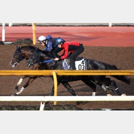 鳴尾記念の有力馬に首先着（奥）