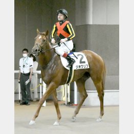 ジオグリフの新馬勝ちも昨年６月の東京だった