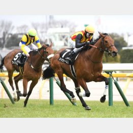 東京は２戦２勝の舞台