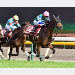 今年の勝ち馬メイケイエールは登録もしなかった