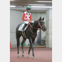 血統的にも距離延長はプラス