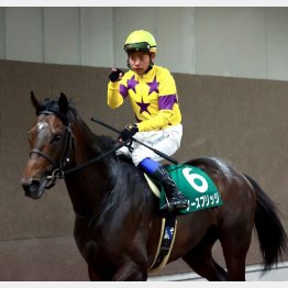 ①着ノースブリッジ（岩田康騎手）「まだ奥が深く、上を目指していける馬」