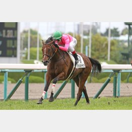 前走は②着に2馬身差の完勝