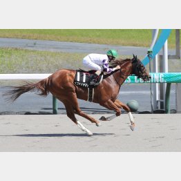 前走は一気に突き抜けて２馬身差