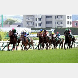 ２馬身半差の完勝