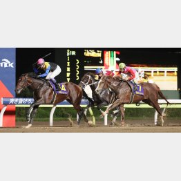 鞍上はこのレース4勝目