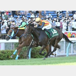 昨年の①②着馬も出走する