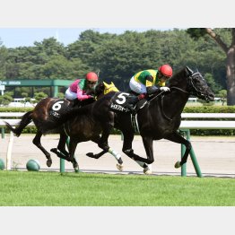 昨年の最初の特別レースを制したのは福永騎乗、1番人気の関西馬だった