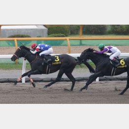 大沼Sを快勝