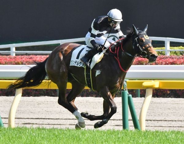 競馬 メジロカンムリ 馬券 - その他