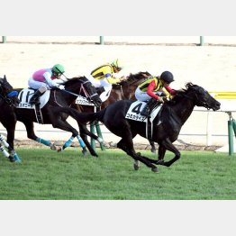 最後の最後、コミカライズで何とか17勝目