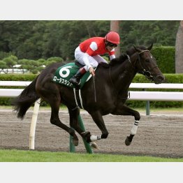 昨年は牝馬ロータスランドが勝利