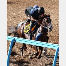 状態も文句なし