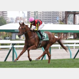 昨年の勝ち馬ジオグリフは皐月賞馬に