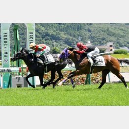 福島の新馬戦を快勝