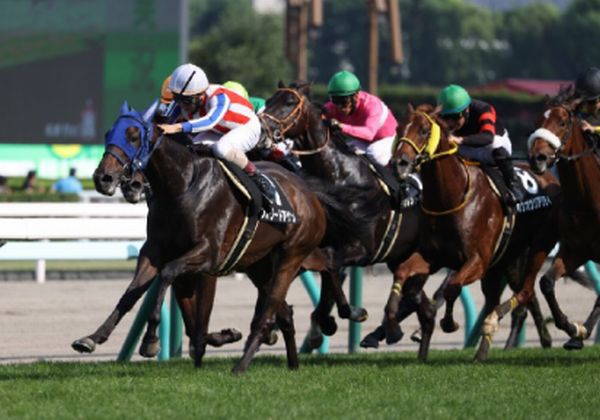 競馬 メジロカンムリ 馬券 - その他