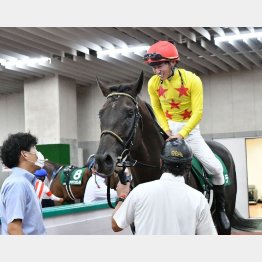 ①着カラテ（菅原明騎手）「長く脚を使ってくれるという良さを引き出すように心掛けました」