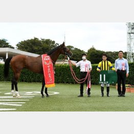 ①着ファルコニア（吉田隼騎手）「これからもマイルぐらいの距離で頑張ってくれるでしょう」